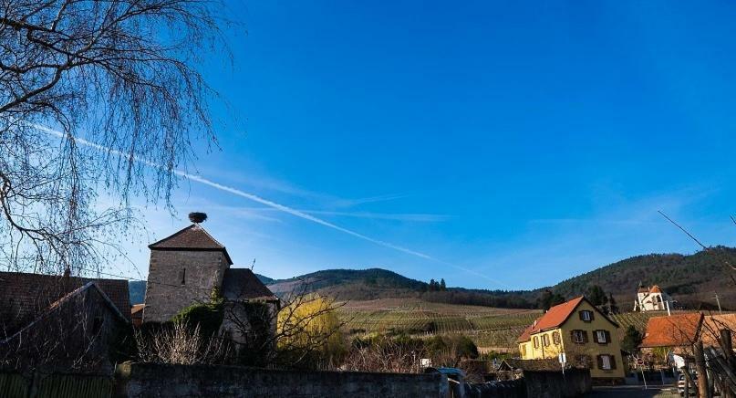 Villa Le P'Tit Coin De Chez Nous Dambach Esterno foto